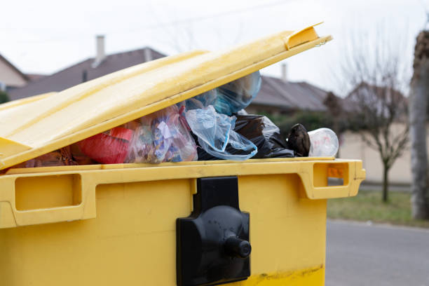 Best Recycling Services for Junk  in Rural Retreat, VA
